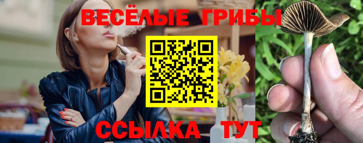 Карпинск  Псилоцибиновые грибы мицелий  Вход с VPN  Галлюциногенные грибы Magic Shrooms 